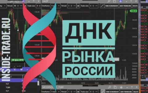 inside-dna-markets